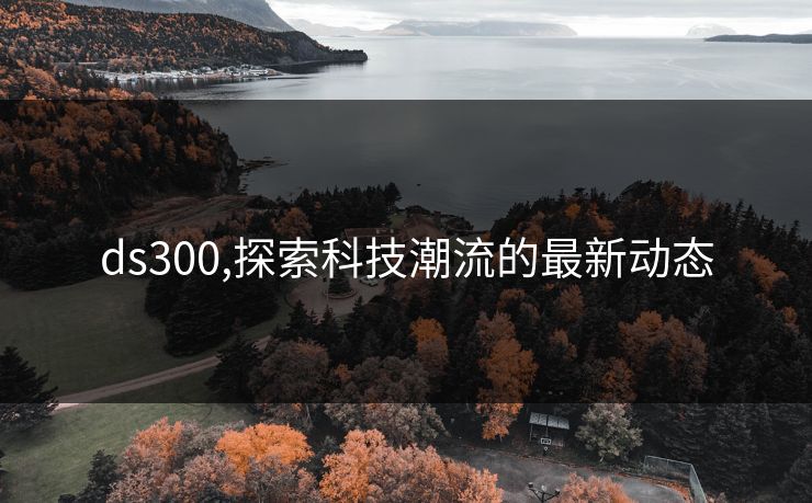 ds300,探索科技潮流的最新动态