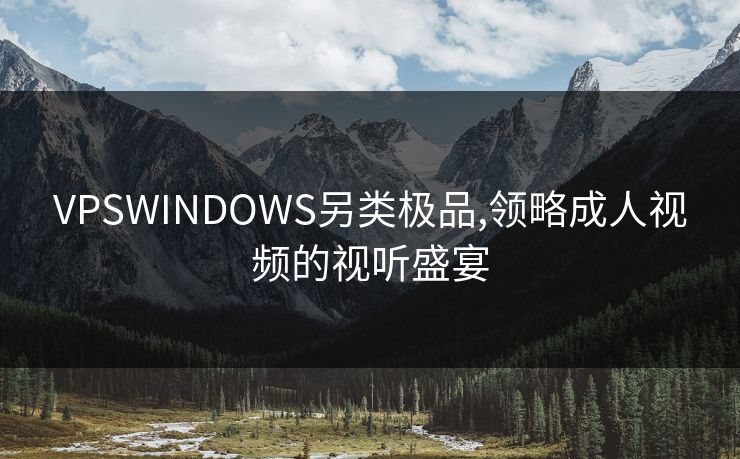 VPSWINDOWS另类极品,领略成人视频的视听盛宴