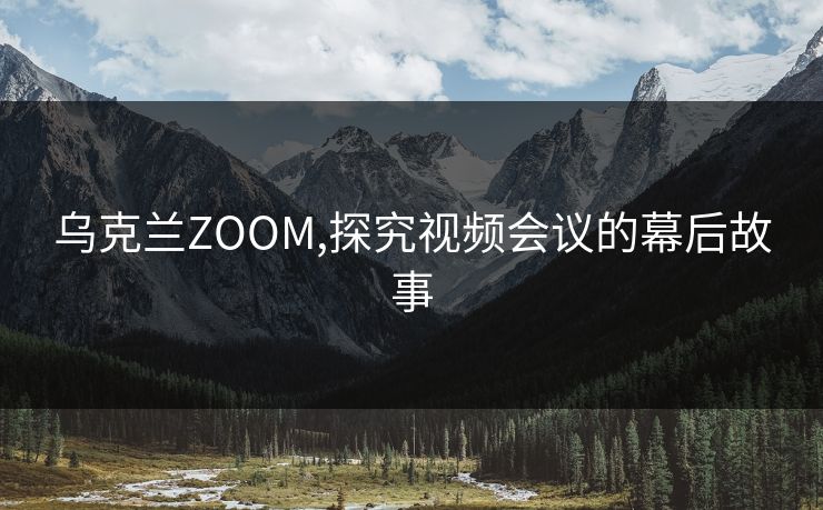 乌克兰ZOOM,探究视频会议的幕后故事