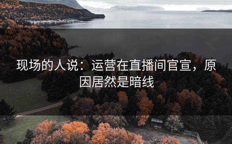 现场的人说：运营在直播间官宣，原因居然是暗线