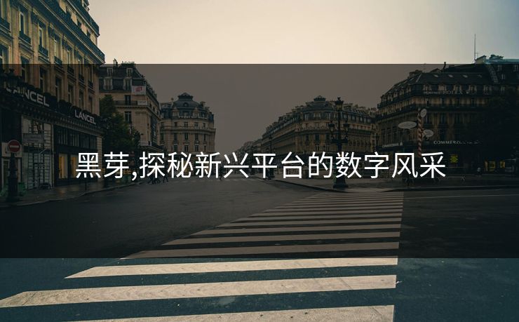 黑芽,探秘新兴平台的数字风采