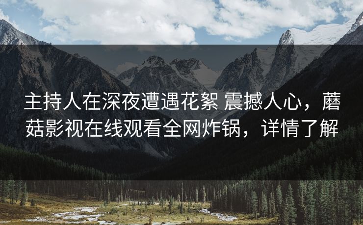 主持人在深夜遭遇花絮 震撼人心，蘑菇影视在线观看全网炸锅，详情了解