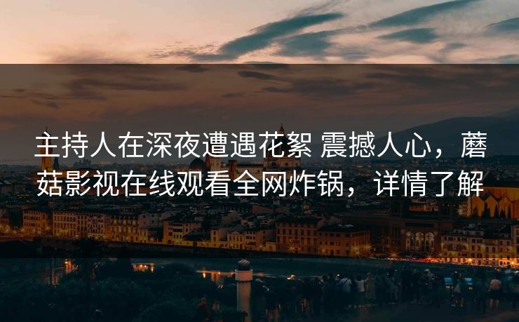 主持人在深夜遭遇花絮 震撼人心，蘑菇影视在线观看全网炸锅，详情了解